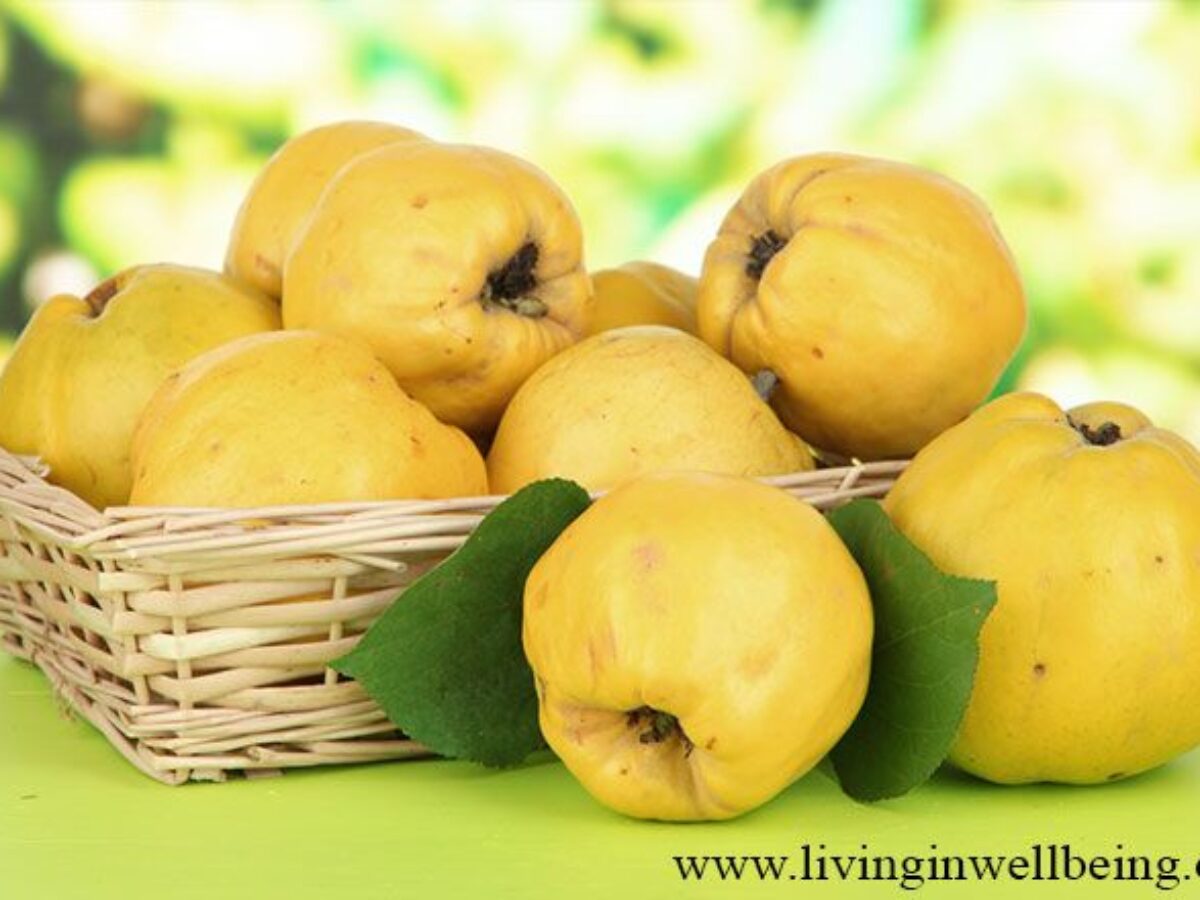quince fruit in hindi