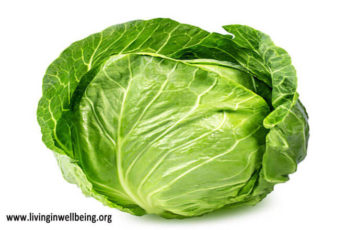 Nutritional Facts & Health Benefits Of Cabbage